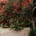 Casa Flamingo Gasthof Foz do Arelho