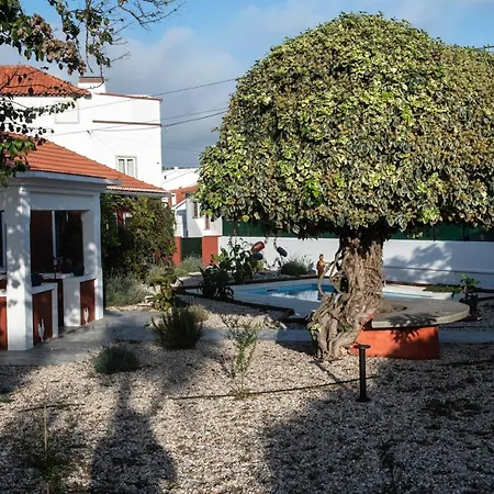 Casa Flamingo Gæstehus *