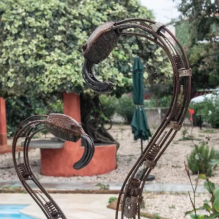 בית הארחה Casa Flamingo
