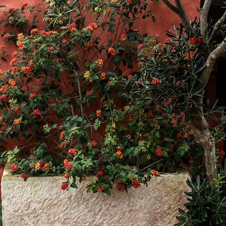 Casa Flamingo בית הארחה פוז דו ארליו