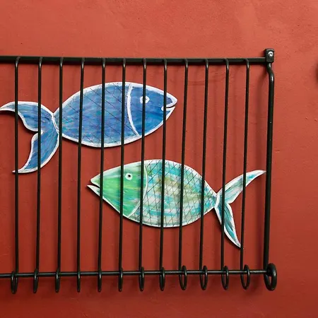 Gæstehus Casa Flamingo *